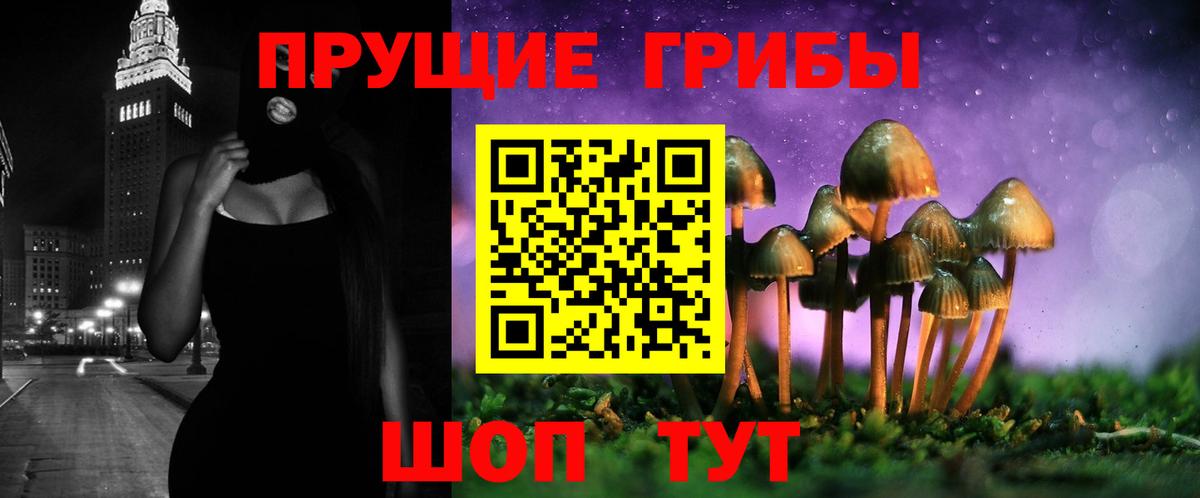 Псилоцибиновые грибы GOLDEN TEACHER  Вход с VPN  Торжок 